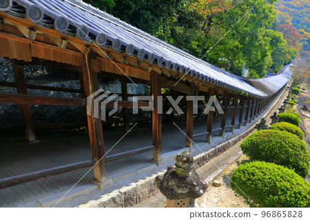 [Okayama Prefecture] Corridor of Kibitsu Shrine in sunny weather 96865828