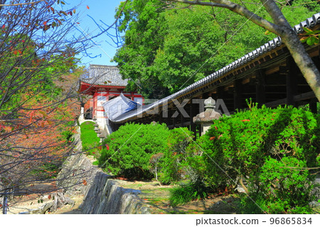 [岡山縣]晴天的吉備津神社走廊 96865834