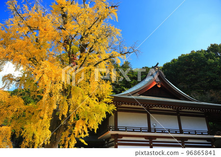 [岡山縣]晴天時吉備津神社的祈願堂和神樹 96865841
