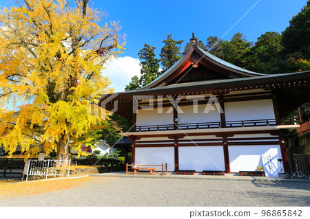 [Okayama Prefecture] Prayer hall and sacred tree at Kibitsu Shrine in sunny weather 96865842