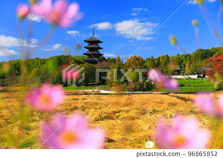 [Okayama Prefecture] The five-storied pagoda of Bicchu Bunji Temple in sunny weather 96865852