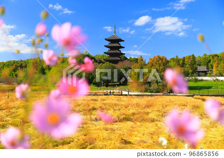 [Okayama Prefecture] The five-storied pagoda of Bicchu Bunji Temple in sunny weather 96865856