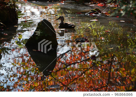 Landscape at the waterside Landscape at the waterside 96866866