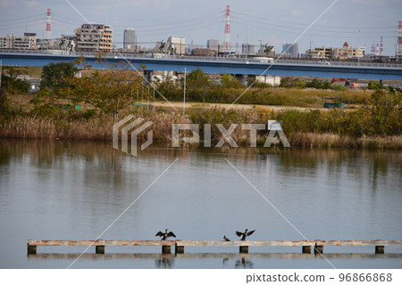 Edogawa scenery Edogawa scenery 96866868