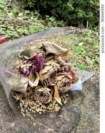 花園裡石頭上的干花 花園裡石頭上的干花 96866990