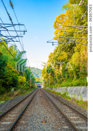 鐵軌穿過藍天紅葉林｜鐵道影像 96867063