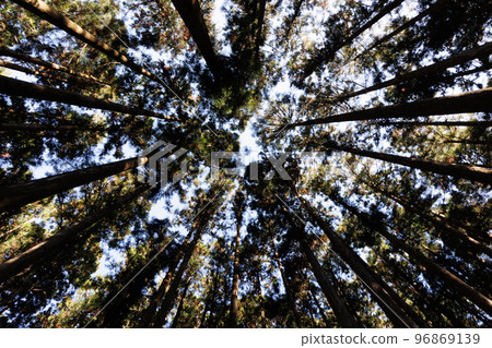 Sanctuary A solemn and sacred place Sanctuary A solemn and sacred place 96869139