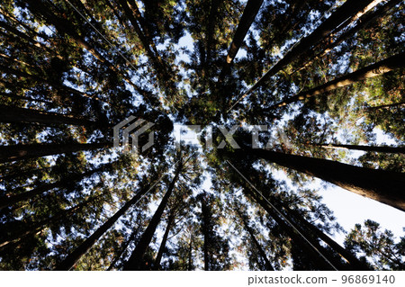 Sanctuary A solemn and sacred place 96869140