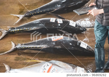 Nanki-Katsuura port tuna auction Nanki-Katsuura port tuna auction 96869282