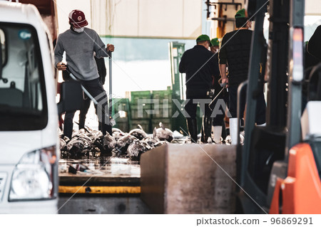 Nanki-Katsuura port tuna auction Nanki-Katsuura port tuna auction 96869291