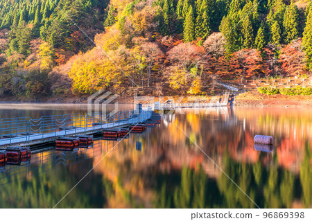 《Tokyo》Autumn Okutama lake・Drum can bridge of autumn leaves 96869398