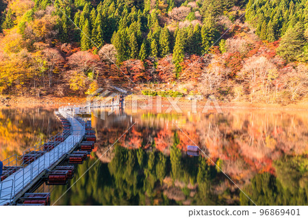 《Tokyo》Autumn Okutama lake・Drum can bridge of autumn leaves 《Tokyo》Autumn Okutama lake・Drum can bridge of autumn leaves 96869401