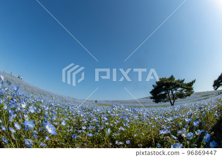 Hitachi beach park Hitachi beach park 96869447