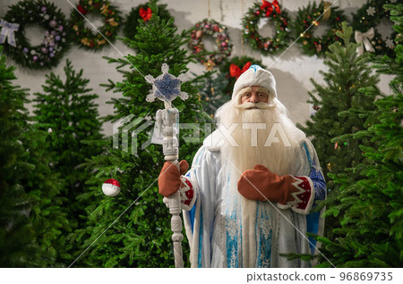 Portrait of a Russian Santa Claus in an artificial Christmas tree shop. Portrait of a Russian Santa Claus in an artificial Christmas tree shop. 96869735