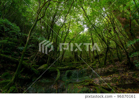 Shiratani Yunizu Gorge Shiratani Yunizu Gorge 96870161