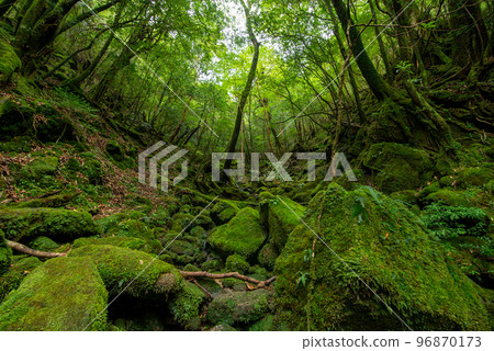 Shiratani Yunizu Gorge Shiratani Yunizu Gorge 96870173