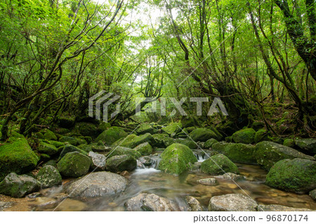 Shiratani Yunizu Gorge Shiratani Yunizu Gorge 96870174