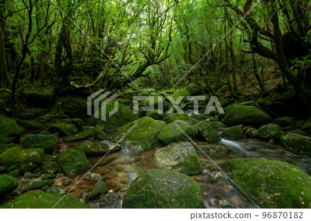 Shiratani Yunizu Gorge 96870182