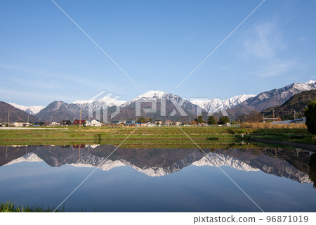 Paddy field 96871019