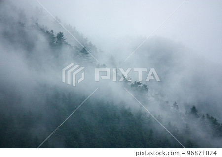 Morning fog Morning fog 96871024