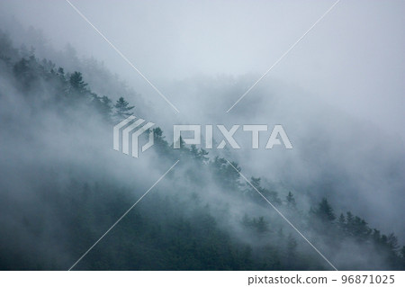 Morning fog Morning fog 96871025