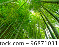  Bamboo grove 96871031