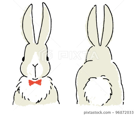 A rabbit in a bow tie Cute back with front and buttocks A rabbit in a bow tie Cute back with front and buttocks 96872033