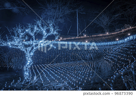 冬季燈飾 Shibata Fantasy Illumination2022 宮城縣柴田町 96873390