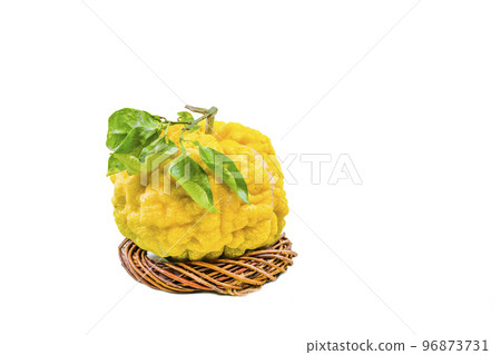 Lion yuzu (oni yuzu) 96873731