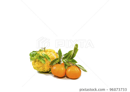 Shizu yuzu (oni yuzu) and mandarin orange Shizu yuzu (oni yuzu) and mandarin orange 96873733