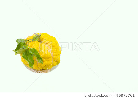 Lion yuzu (oni yuzu) Lion yuzu (oni yuzu) 96873761