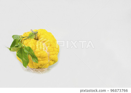 Lion yuzu (oni yuzu) Lion yuzu (oni yuzu) 96873766