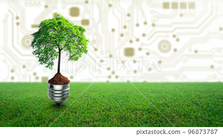 Tree with soil growing on Light bulb and green grass. Digital Convergence and Technology Convergence. Environmental Technology, Green Computing, Green Technology, Green IT, csr, and IT ethics Concept. Tree with soil growing on Light bulb and green grass. Digital Convergence and Technology Convergence. Environmental Technology, Green Computing, Green Technology, Green IT, csr, and IT ethics Concept. 96873787