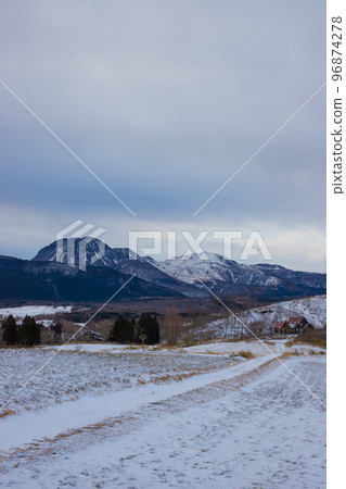 九重山與雪景(大分縣九重町) 九重山與雪景(大分縣九重町) 96874278