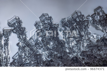 Frost on a branch, clear frost crystals on a branch Frost on a branch, clear frost crystals on a branch 96874371