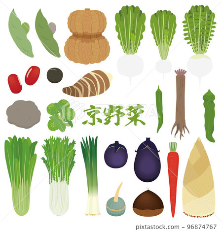 Illustration set of Kyoto vegetables 96874767