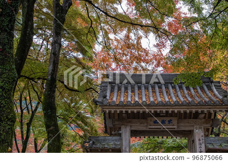 松山 松山 96875066