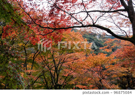 松山 松山 96875084