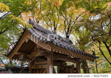 松山 松山 96875085
