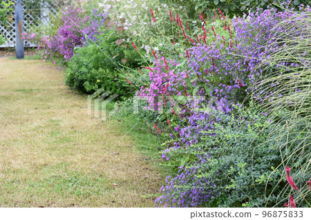 [長野縣中野市]一本木公園的花壇 96875833