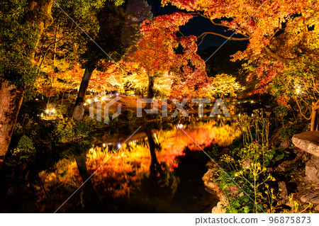 請欣賞國家名勝縮景園的紅葉燈飾。這是與廣島之主淺野和植田壯子有關的庭園。廣島 請欣賞國家名勝縮景園的紅葉燈飾。這是與廣島之主淺野和植田壯子有關的庭園。廣島 96875873