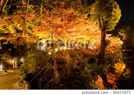 請欣賞國家名勝縮景園的紅葉燈飾。這是與廣島之主淺野和植田壯子有關的庭園。廣島 請欣賞國家名勝縮景園的紅葉燈飾。這是與廣島之主淺野和植田壯子有關的庭園。廣島 96875875