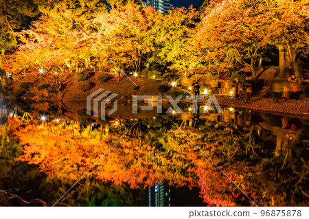 請欣賞國家名勝縮景園的紅葉燈飾。這是與廣島之主淺野和植田壯子有關的庭園。廣島 96875878