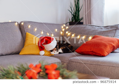 Multicolored relaxed cat lying on a gray sofa in a Santa's hat with blurred Christmas decor composition on the coffee table. Winter, festive Xmas holidays home decoration. Cozy mood. Selective focus 96875914