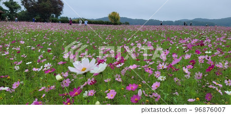 漣川 漣川 96876007