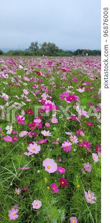 Yeoncheon Yeoncheon 96876008