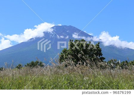 Susuki和富士山 Susuki和富士山 96876199