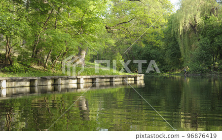 View of the pond, old concrete pier, trees and bushes. Pushcha Vodytsia city park, Kyiv, Ukraine View of the pond, old concrete pier, trees and bushes. Pushcha Vodytsia city park, Kyiv, Ukraine 96876419