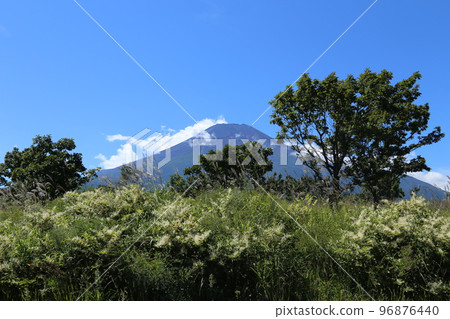 花與富士山 花與富士山 96876440