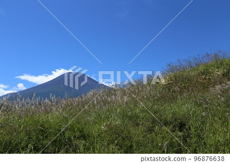 Susuki和富士山 96876638